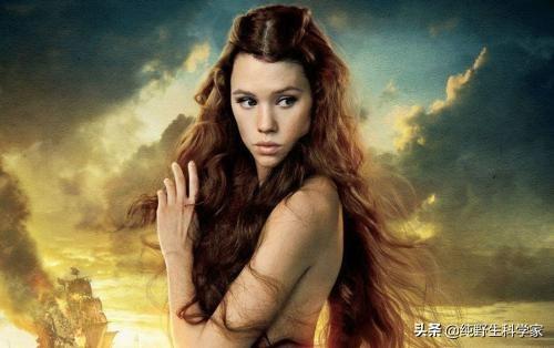 美人鱼儒艮:美人鱼真的存在吗？原型是什么？