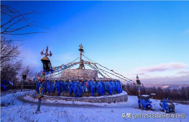 苏州宠物网型号规格:怎样的相机适合新手？有什么好相机可以推荐的？