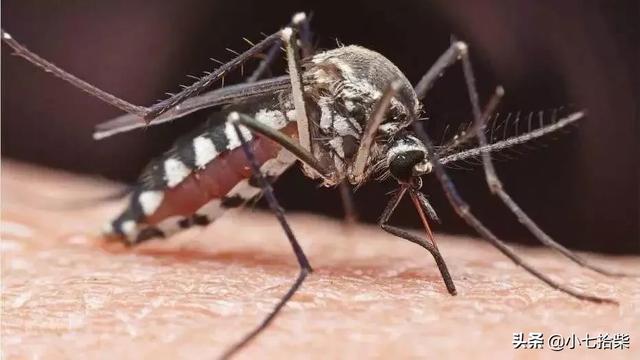 家住别墅是什么样的感觉？插图65