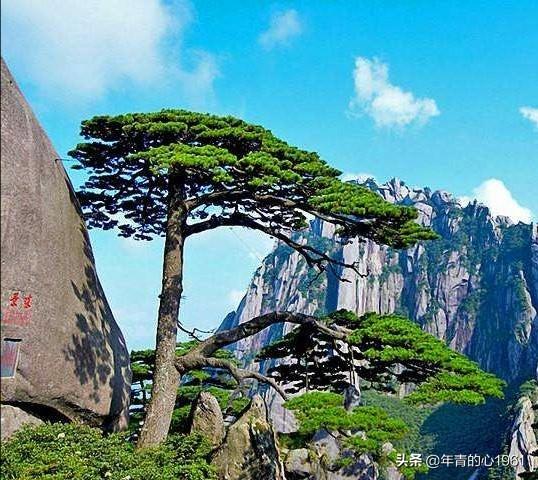 黄河巨龟:你认为中国最值得游览的十大名山有哪些，为什么
