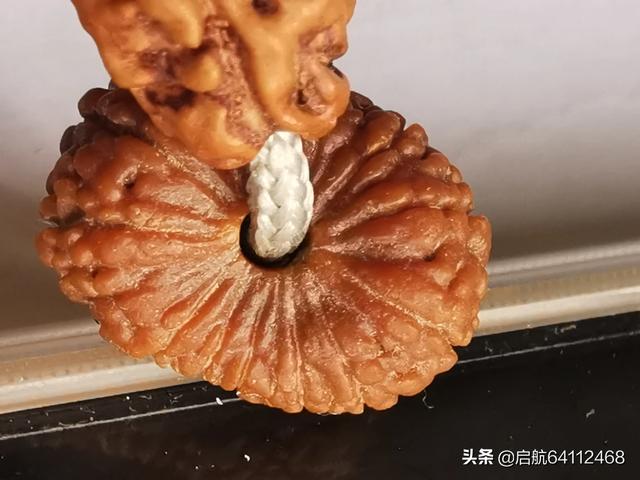 晒晒你的文玩宝贝。都是怎么保养的？插图98