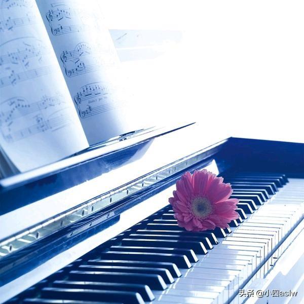 光与玫瑰钢琴谱;光遇玫瑰钢琴谱