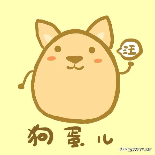 你上幼儿园时有没有爆笑的故事或者笑话呢