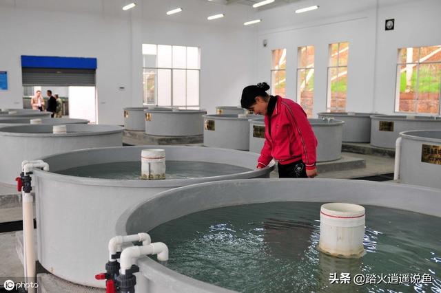 养鸡微信交流群:为什么有些做水产养殖的人不喜欢<a href=https://maguai.com/list/16-0-0.html target=_blank class=infotextkey>技术</a>交流，都喜欢藏着掖着？