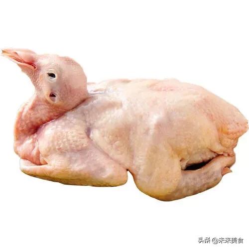 鸽子能补肾吗，一只鸽子胜过9只鸡的说法对吗？经常吃鸽子肉有哪些好处？
