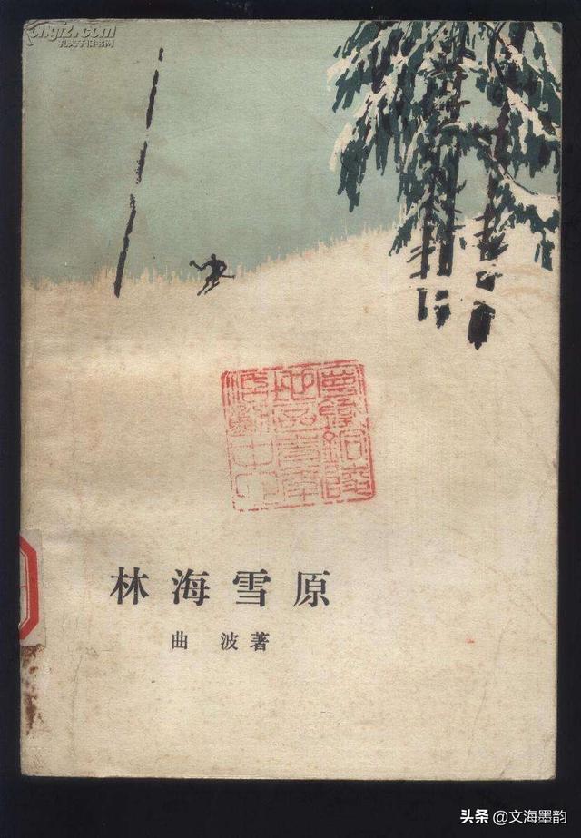 刘波照片:如何评价黄轩、陈赫主演的电视剧《瞄准》