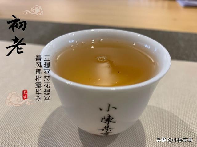 老白茶的好处,银针和老白茶有什么区别？