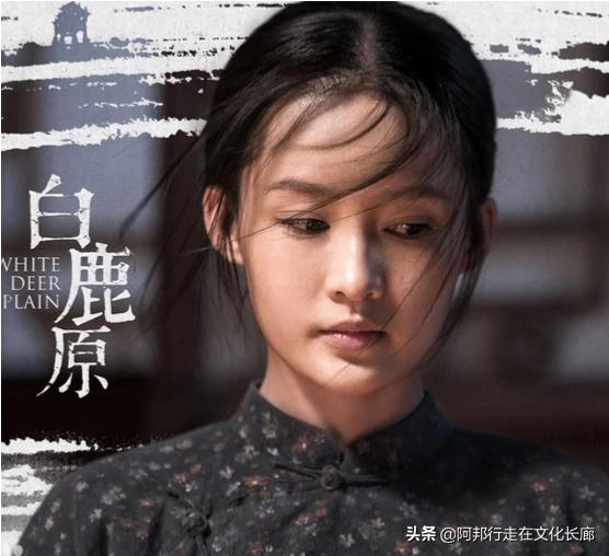 《白鹿原》中如果田小娥诱惑的是白嘉轩,结果会怎么样？