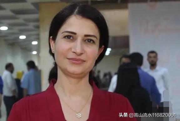 民间诡闻实录免费阅读，如何看待土耳其雇佣兵抓获库尔德女性领导人并将她就地处决的行为