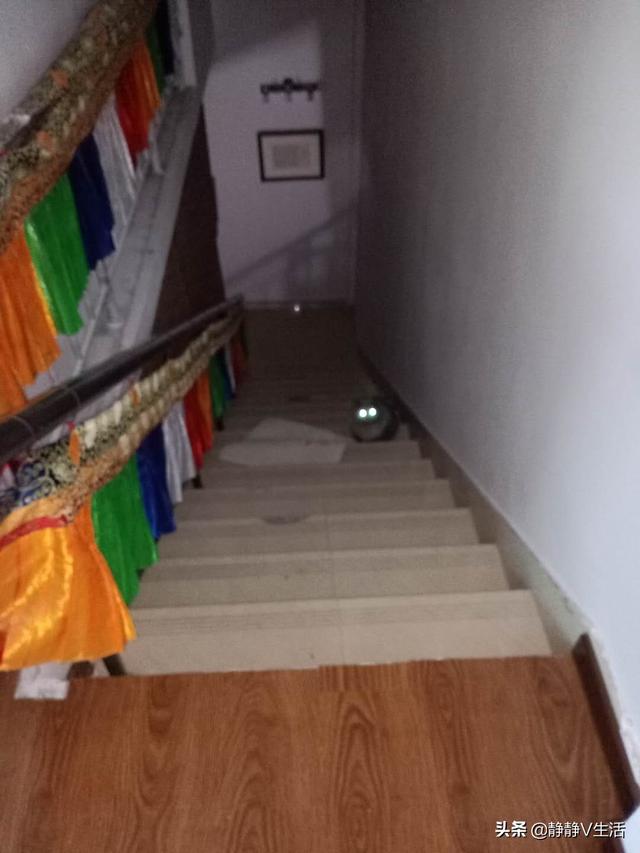 猫猫:猫咪会被人吓坏吗？猫咪受到惊吓后有什么办法可以安抚？