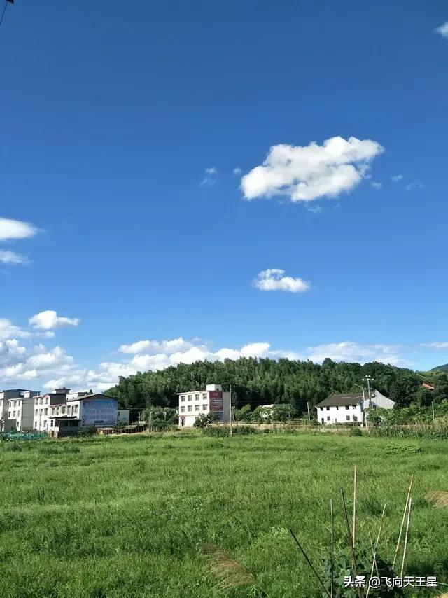 分享你近日拍的最美的无美颜无滤镜美景！我先来。