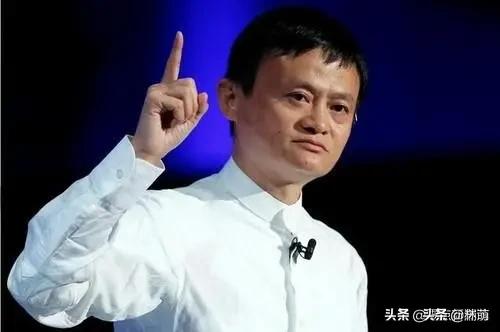 王东岳先生言：人生草木一秋，毫无意义。那人又该如何活下去呢？