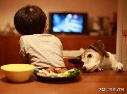 两岁半的小朋友就爱看《小猪佩奇》怎么办,别的啥都不看？