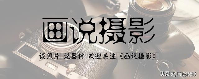 想买一台单反,选购尼康还是佳能？什么机型比较好？