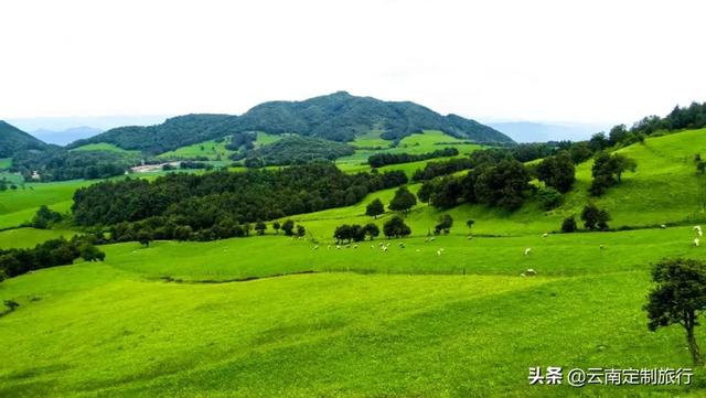 昆明寻甸:在云南昆明有草原吗？在哪？
