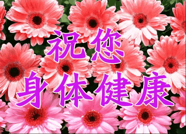 亲情是人世间难以割舍的情,拥有亲情,就拥有了人生的温暖.