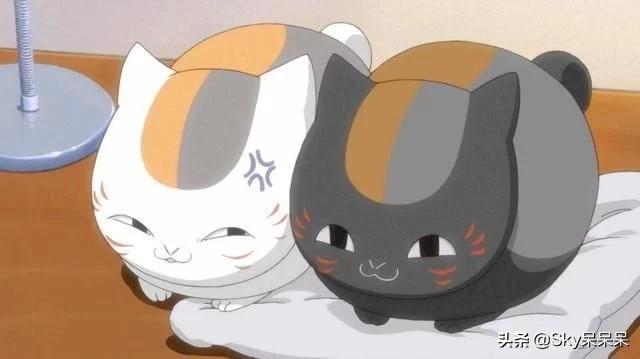 卡尔特猫动漫图片:日本动漫中有哪些知名的猫？