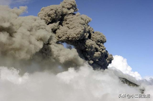 纯碱和醋可以做火山爆发，小苏打和醋放在一起会有什么反应