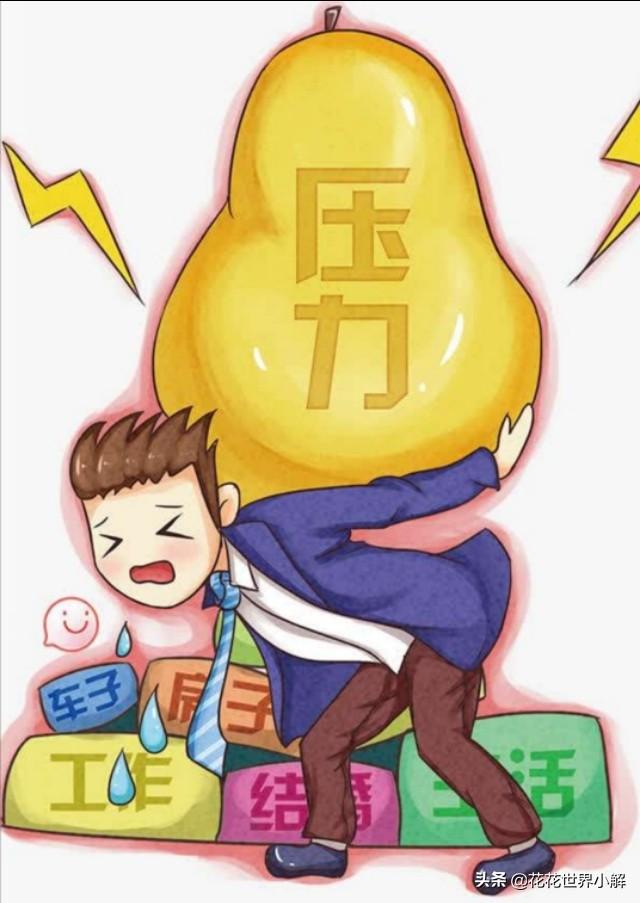 杭州生活压力大吗