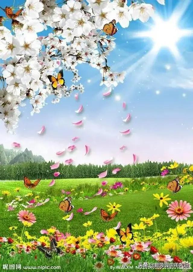 姓名可以惊艳到什么程度？插图6