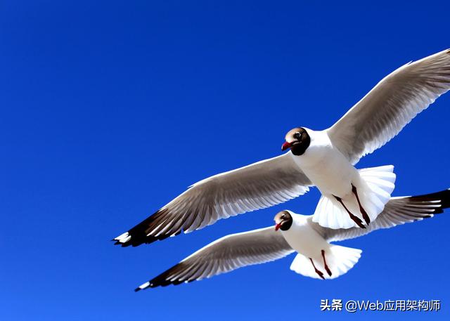 作为一个快30岁的程序员,面试碰壁,感觉内心很慌,对未来更是迷茫,有什么好的建议？