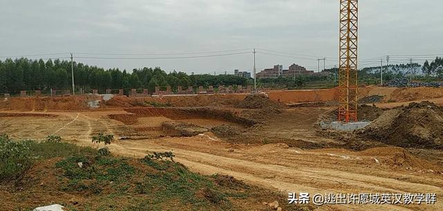 滦县救狗事件:高速拦车救狗，拦车者负什么法律责任？