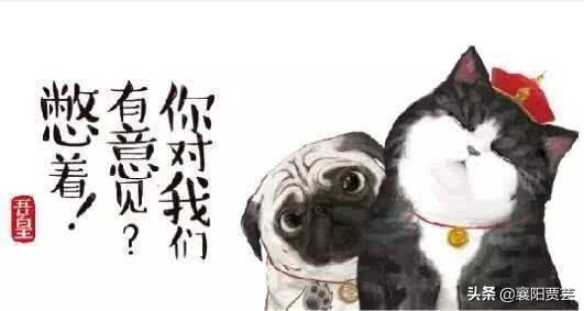 猫奴契约书 在线:猫奴在古代是怎样的存在？