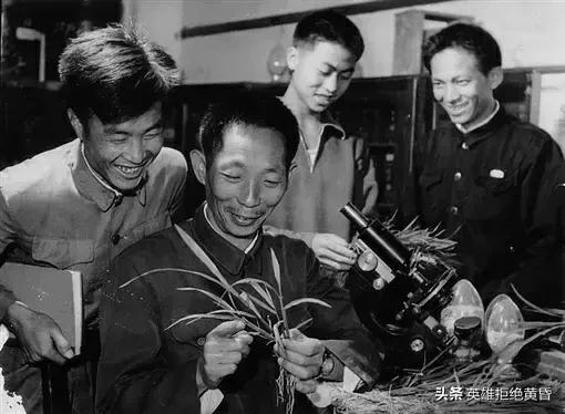段小洁:袁隆平的弟子谁的成就最高？能接过袁老去世后留下的重任么？