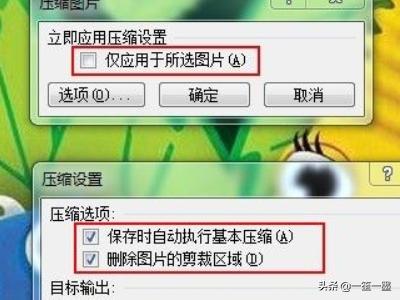 word中不显示图片，WPS、Word中不能插入图片或图片不显示