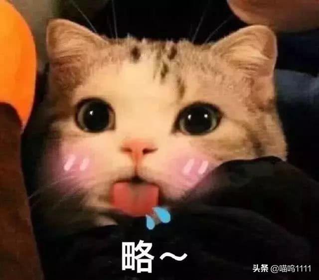 跟摩羯有一些摩檫他说了绝情的话,跟他沟通示好还是说冷漠绝情的话,要挽留吗？
