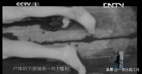 有哪些令人印象深刻的女性凶手？
