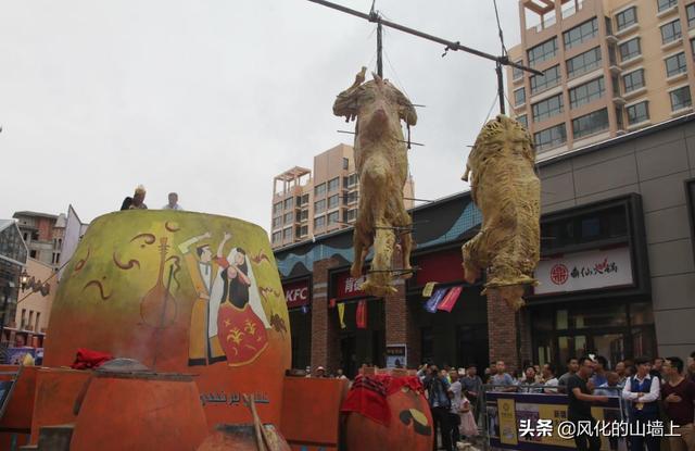 甘肃发现白化野骆驼:迪拜能吃骆驼，国内什么地方能吃骆驼