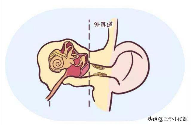 耳朵经常发痒咋回事，耳朵里面总是痒是怎么回事