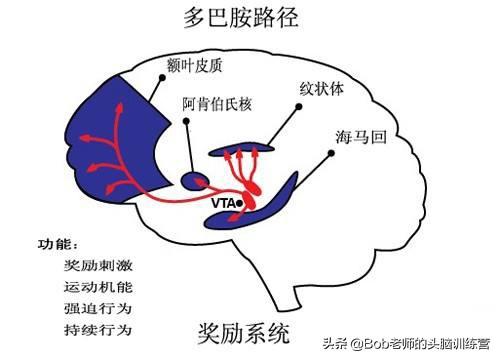 笼中的金丝雀拘束cage动漫:李白仗剑走天下，路费从哪来？