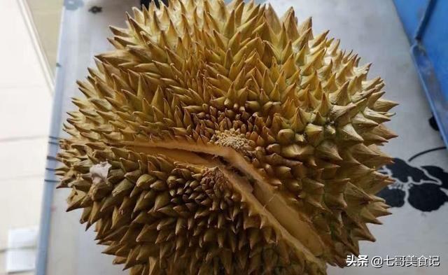 榴莲金菠萝图片:榴莲这么贵，为什么不自己种？