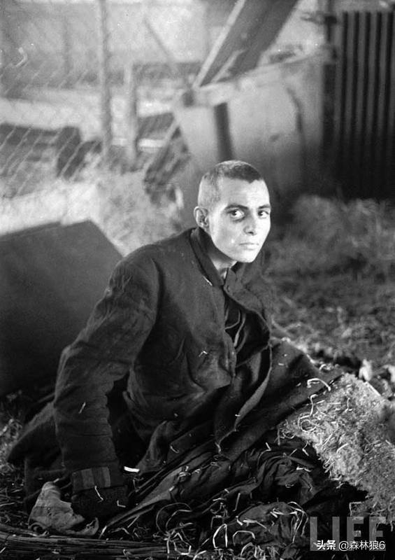 头条问答 - 二战期间,德国在南美国家做了外交努力?(2个回答)