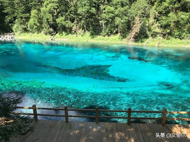 全国最牛的两所医院：北京协和医院与成都华西医院谁更历害？