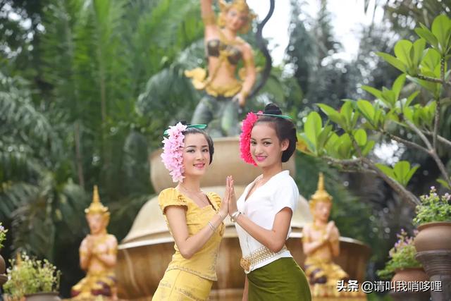 傣族简介:帮我介绍一下傣族的起源和历史？