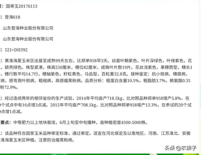 虹之玉 长高 怎么办:虹之玉开花了，该怎么养？