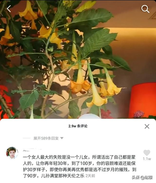 陈数为杨丽萍发声:如何看待网友评论杨丽萍“没有儿女是失败的”获得一万多人点赞？