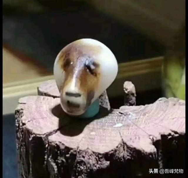 和田玉值得收藏吗,和田玉的收藏行家，为什么喜欢收藏籽料？