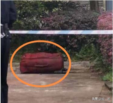 2010年四川小区监控拍到龙，四川资阳电缆井下行李箱中发现女尸，怎么回事