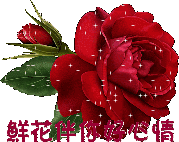 357_283gif 动态图 动图