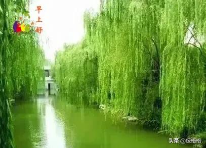 张茵简介:大家觉得女人怎样算成功？