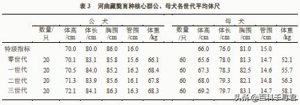 江润犬业比赛视频:正常状态下成年雄性藏獒和雄性山魈哪个战斗力强？