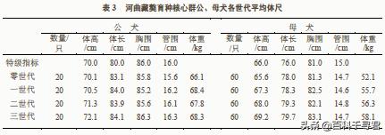 哈士奇大战藏獒1:如果纯种的成年大藏獒对付一头狼，需要多少时间才能搞定？ 哈士奇大战藏獒表情包