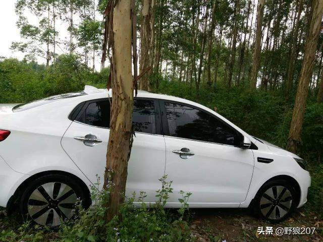 你的车加200块的油,能够跑几公里？你的车是节油王吗？