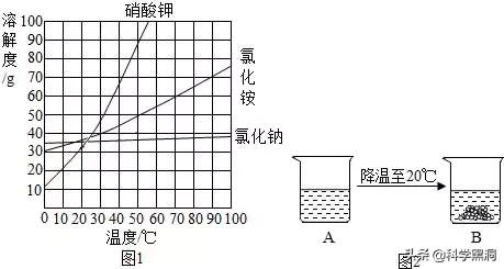 南极附近的死亡冰柱是怎么回事？为什么能杀死那么多生物？
