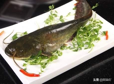 胡子鱼杀:胡子鱼切开后肉发红能吃吗？需要注意什么？
