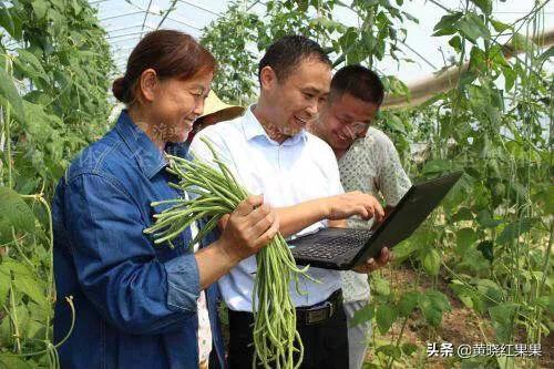 到底是什么导致产能过剩，农产品滞销是不是产能过剩问题